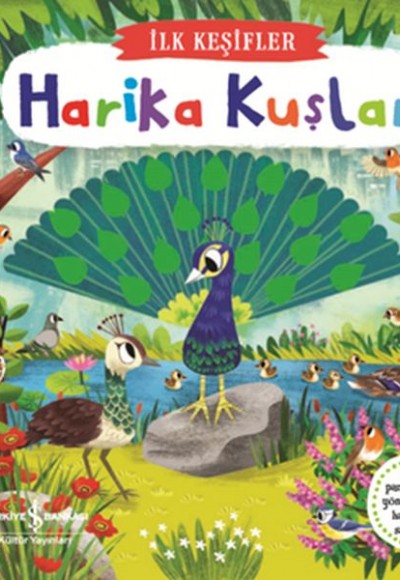 Hareketli Harika Kuşlar - İlk Keşifler