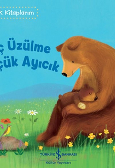 Hiç Üzülme Küçüük Ayıcık - İlk Kitaplarım