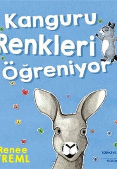 Kanguru Renkleri Öğreniyor