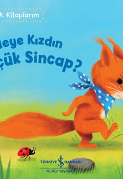 Neye Kızdın Küçük Sincap