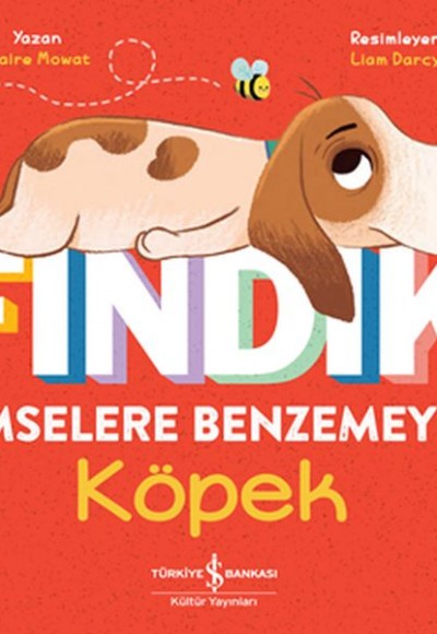 Fındık Kimselere Benzemeyen Köpek