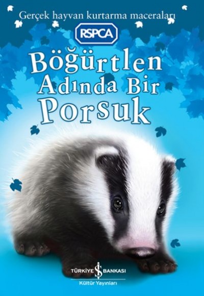 Böğürtlen Adında Bir Porsuk