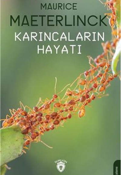 Karıncaların Hayatı