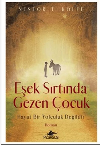 Eşek Sırtında Gezen Çocuk