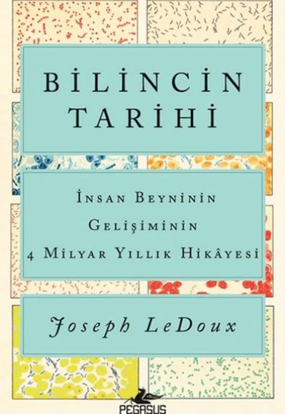 Bilincin Tarihi: İnsan Beyninin Gelişiminin 4 Milyar Yıllık Hikayesi