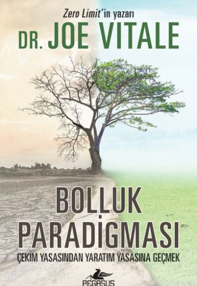 Bolluk Paradigması