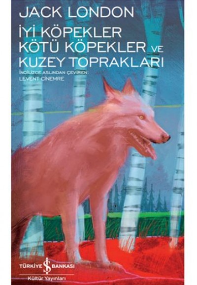 İyi Köpekler Kötü Köpekler ve Kuzey Toprakları - Modern Klasikler Dizisi (Ciltli)