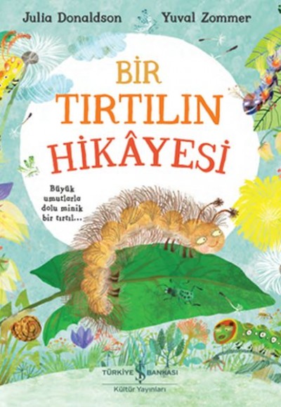 Bir Tırtılın Hikayesi