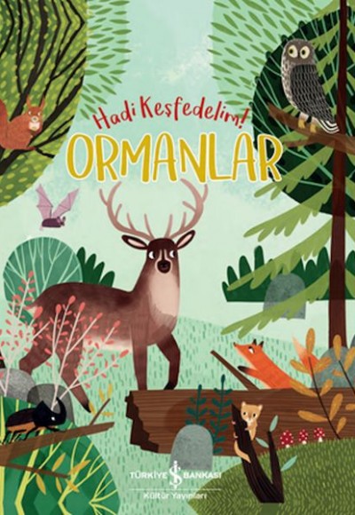 Ormanlar - Hadi Keşfedelim!