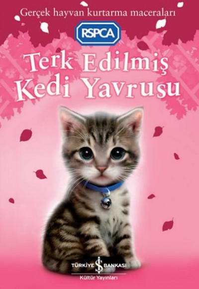 Terk Edilmiş Kedi Yavrusu