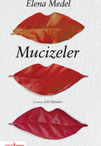 Mucizeler