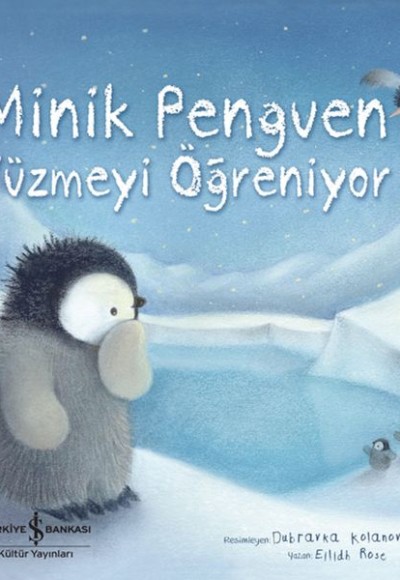 Minik Penguen Yüzmeyi Öğreniyor