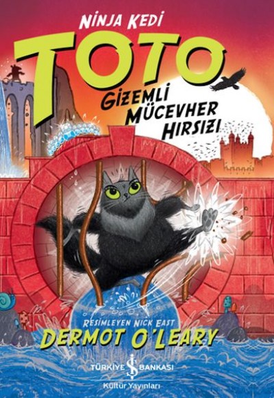 Ninja Kedi Toto – Gizemli Mücevher Hırsızı