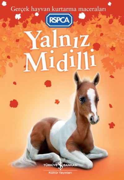 Yalnız Midilli