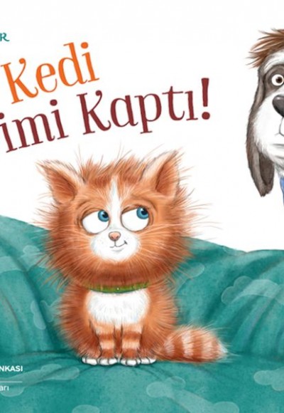 Kedi Yerimi Kaptı!