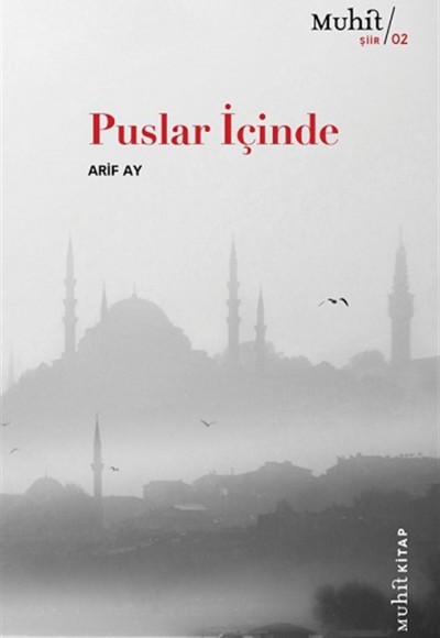 Puslar İçinde