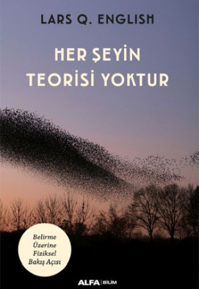 Her Şeyin Teorisi Yoktur