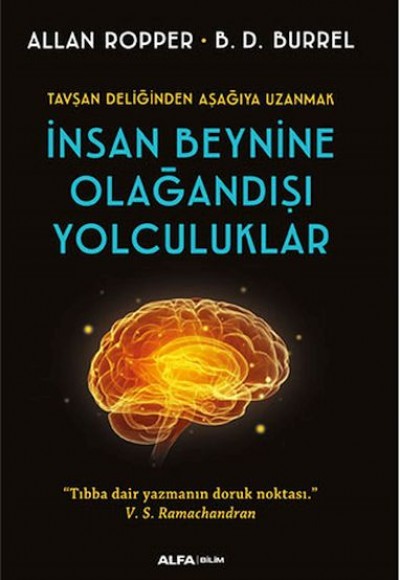 İnsan Beynine Olağandışı Yolculuklar