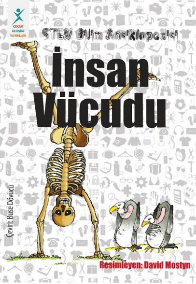 İnsan Vücudu