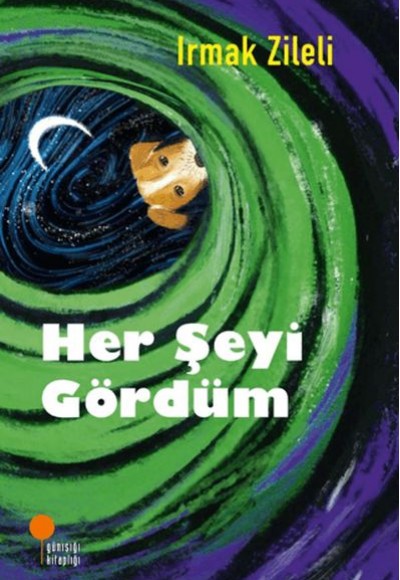 Her Şeyi Gördüm