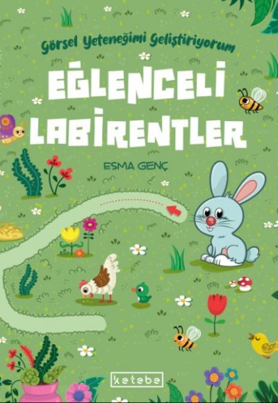 Eğlenceli Labirentler - Görsel Yeteneğimi Geliştiriyorum