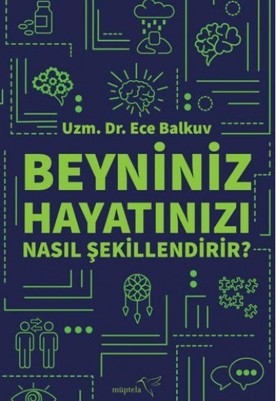 Beyniniz Hayatınızı Nasıl Şekillendirir?