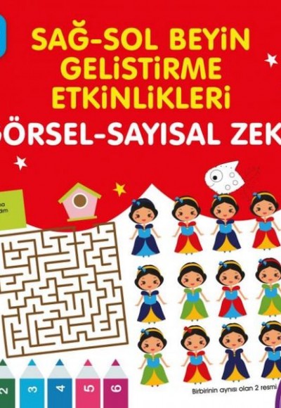 Sağ-Sol Beyin Geliştirme Etkinlikleri - Görsel-Sayısal Zeka