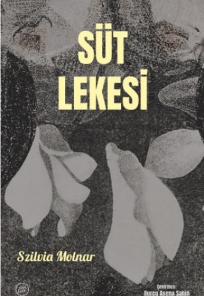 Süt Lekesi