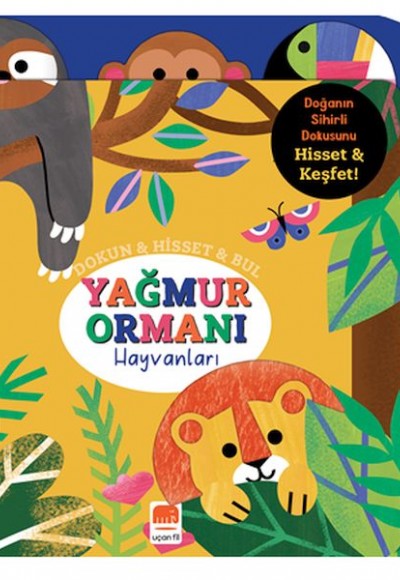 Dokun & Hisset & Bul Yağmur Ormanı Hayvanları