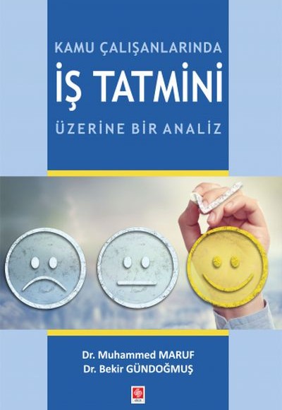 Kamu Çalışanlarında İş Tatmini Üzerine Bir Analiz