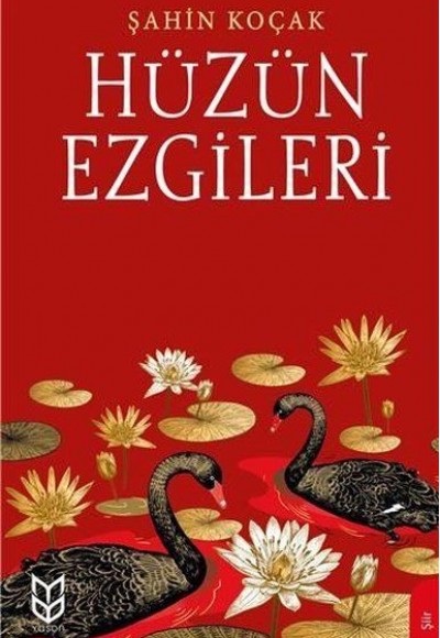 Hüzün Ezgileri