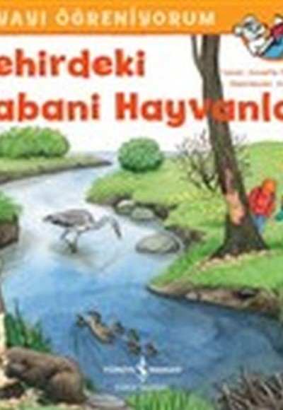 Şehirdeki Yabani Hayvanlar - Dünyayı Öğreniyorum