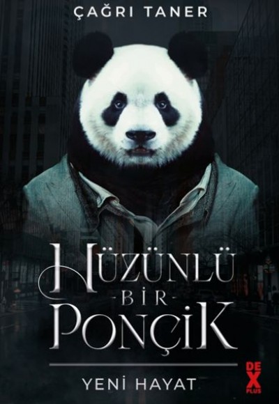 Hüzünlü Bir Ponçik - Yeni Hayat