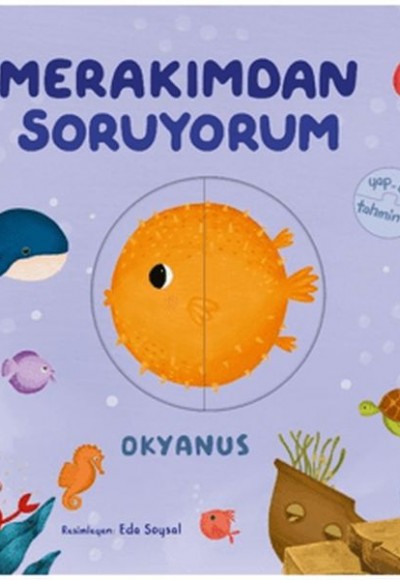 Merakımdan Soruyorum - Okyanus