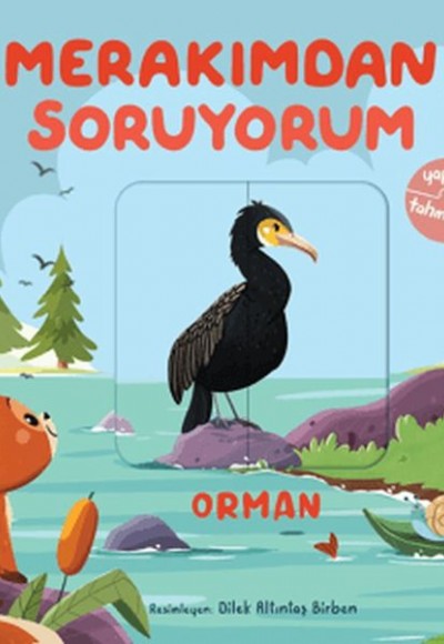 Merakımdan Soruyorum - Orman