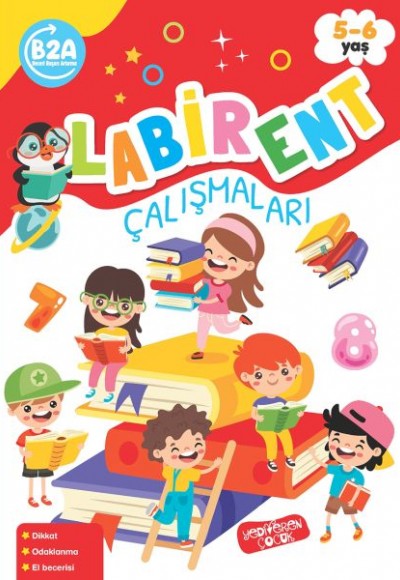 Labirent Çalışmaları