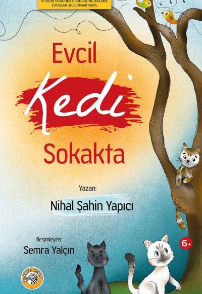 Evcil Kedi Sokakta