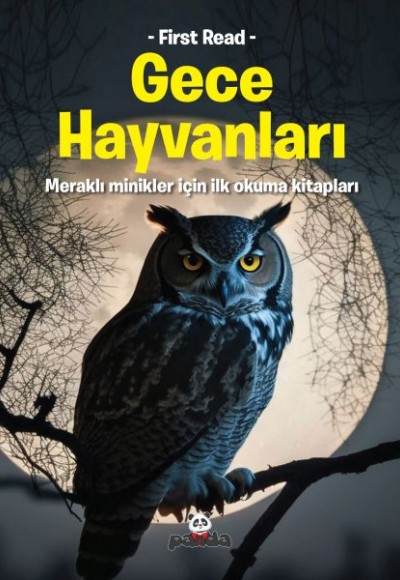 Gece Hayvanları