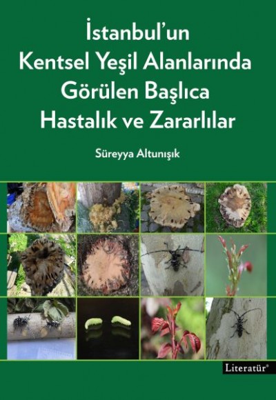 İstanbul’un Kentsel Yeşil Alanlarında Görülen Başlıca Hastalık ve Zararlılar