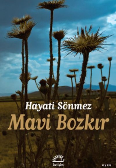 Mavi Bozkır