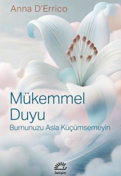 Mükemmel Duyu