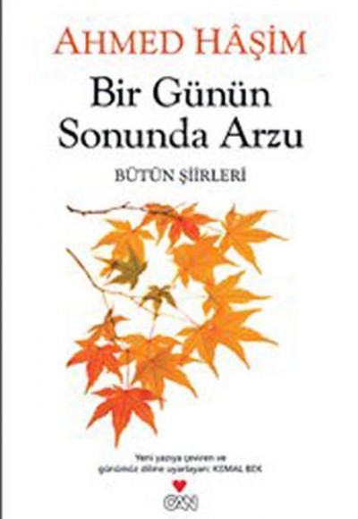 Bir Günün Sonunda Arzu  Bütün Şiirleri