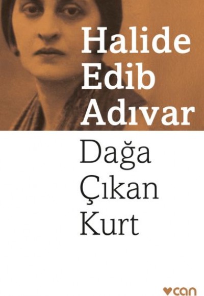 Dağa Çıkan Kurt