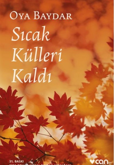 Sıcak Külleri Kaldı