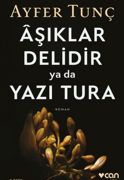 Aşıklar Delidir ya da Yazı Tura