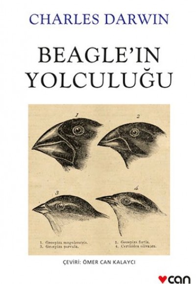 Beagle'ın Yolculuğu