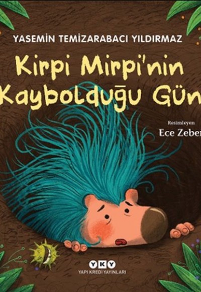 Kirpi Mirpi’nin Kaybolduğu Gün