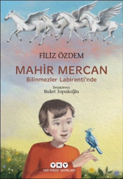 Mahir Mercan - Bilinmezler Labirenti’nde