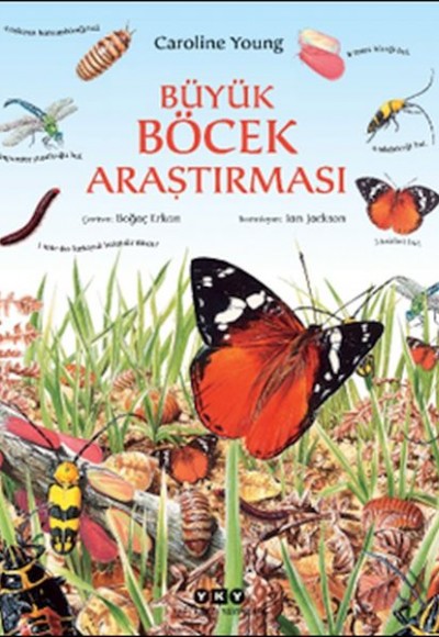 Büyük Böcek Araştırması