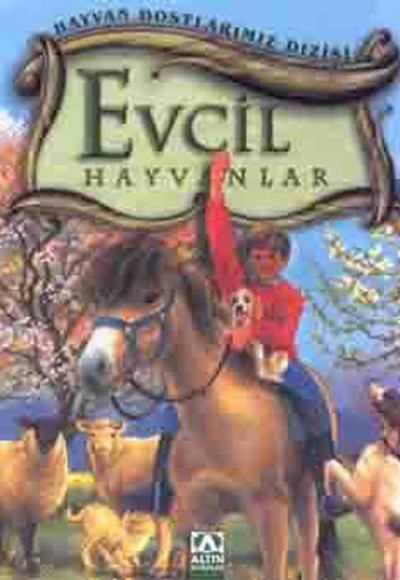 Hayvan Dostlarımız Dizisi - Evcil Hayvanlar